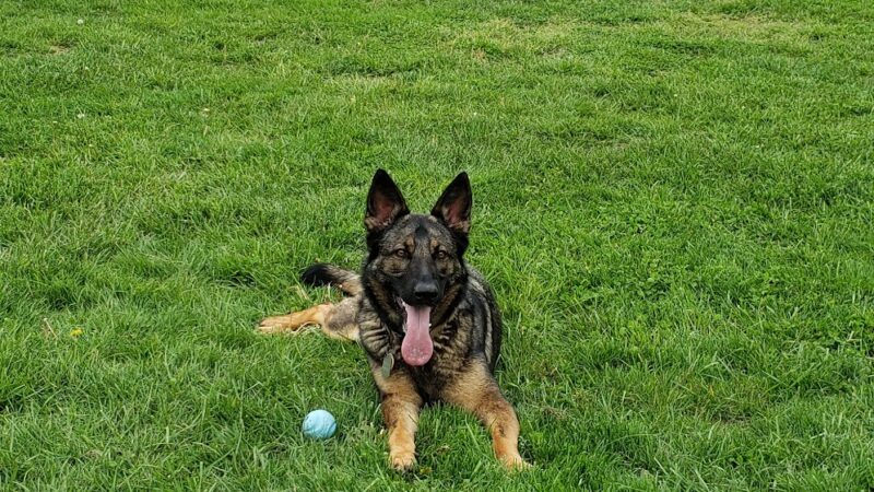 Deer Hollow Park - Toms River, NJ