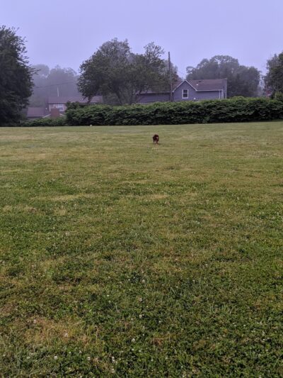 Deer Hollow Park - Toms River, NJ