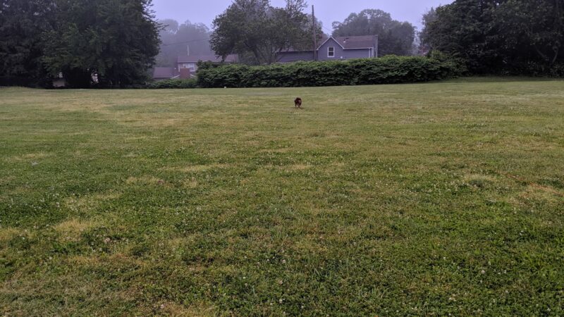 Deer Hollow Park - Toms River, NJ