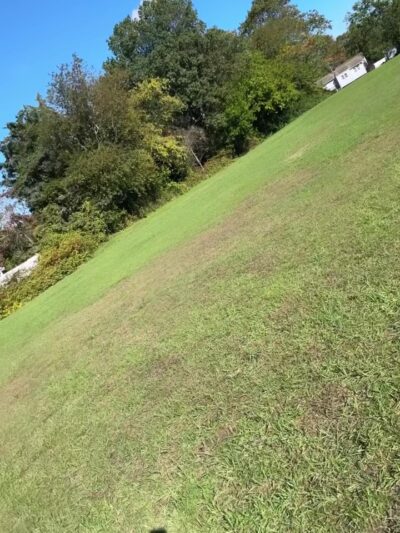 Deer Hollow Park - Toms River, NJ