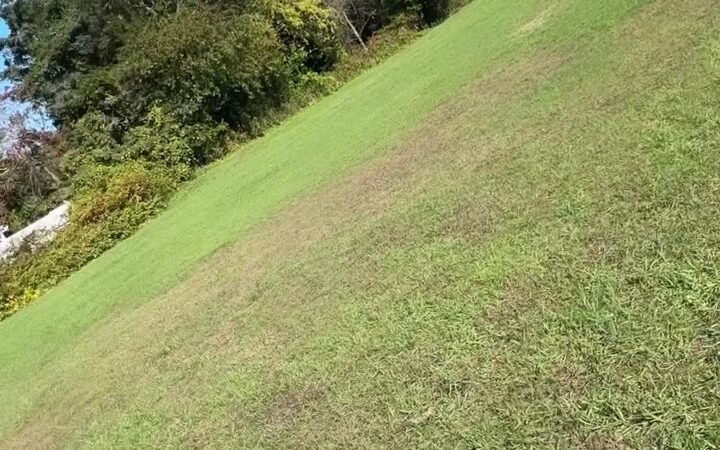 Deer Hollow Park - Toms River, NJ