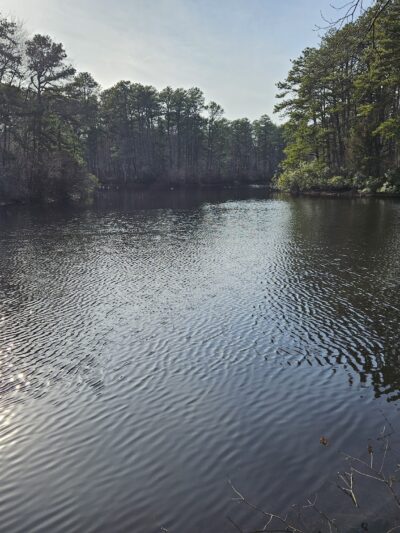 Winding River Park - Toms River, NJ