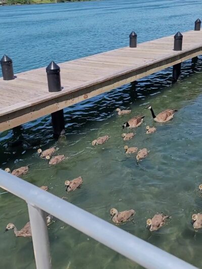 Isle View Park - Tonawanda, NY