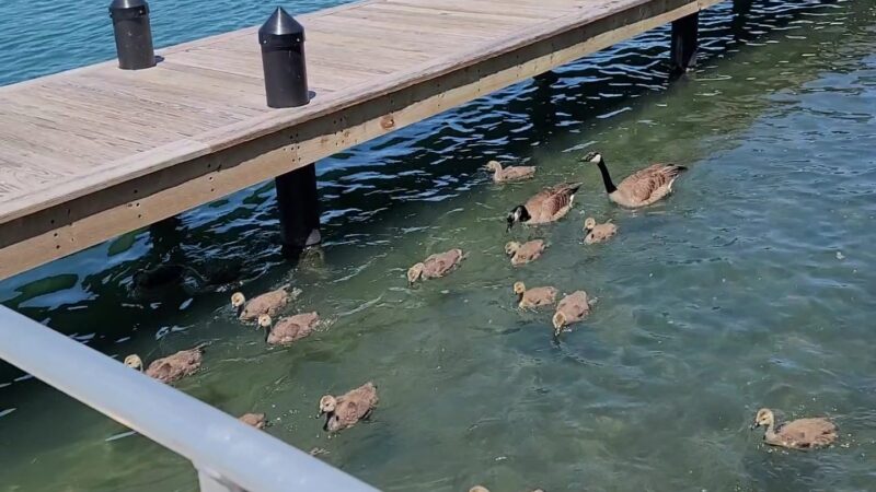 Isle View Park - Tonawanda, NY