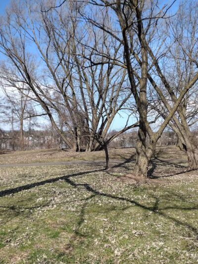 Isle View Park - Tonawanda, NY