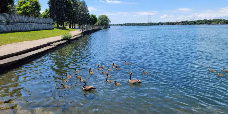 Isle View Park - Tonawanda, NY