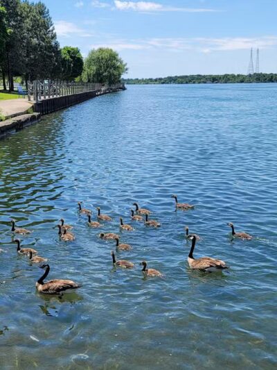 Isle View Park - Tonawanda, NY