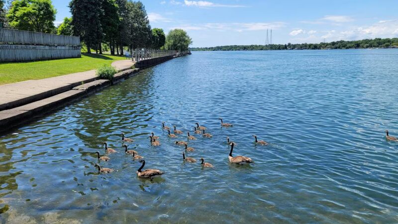 Isle View Park - Tonawanda, NY