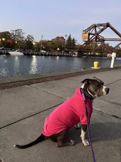 Tonawanda Rails to Trails - Tonawanda, NY