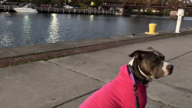 Tonawanda Rails to Trails - Tonawanda, NY