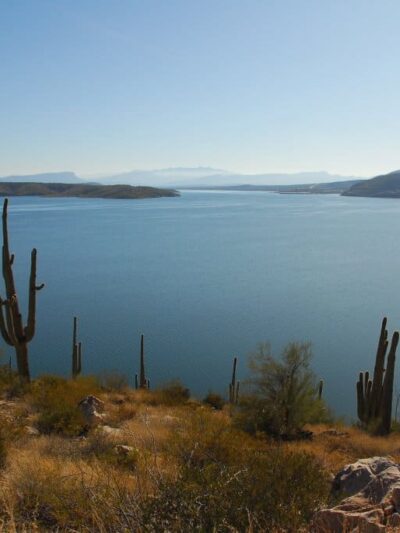 Roosevelt Lake Wildlife Area - Tonto Basin, AZ