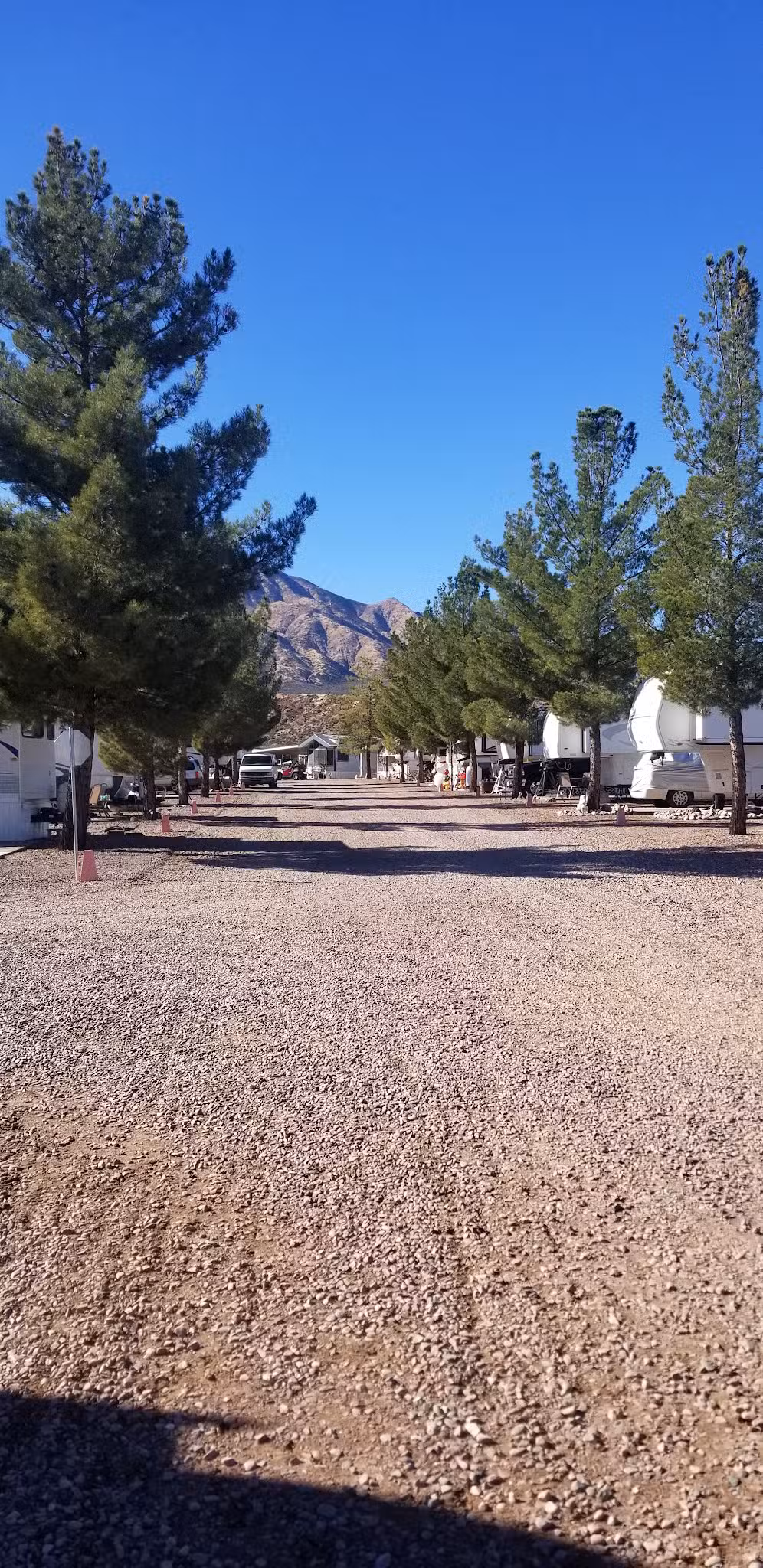 Tonto Creek Trail Adult RV & MHC - Tonto Basin, AZ