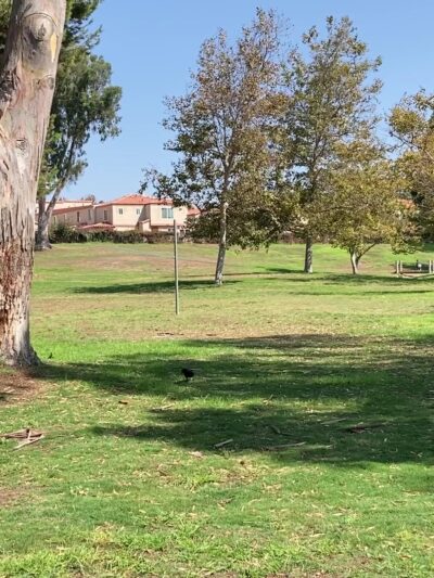 Delthorne Park - Torrance, CA