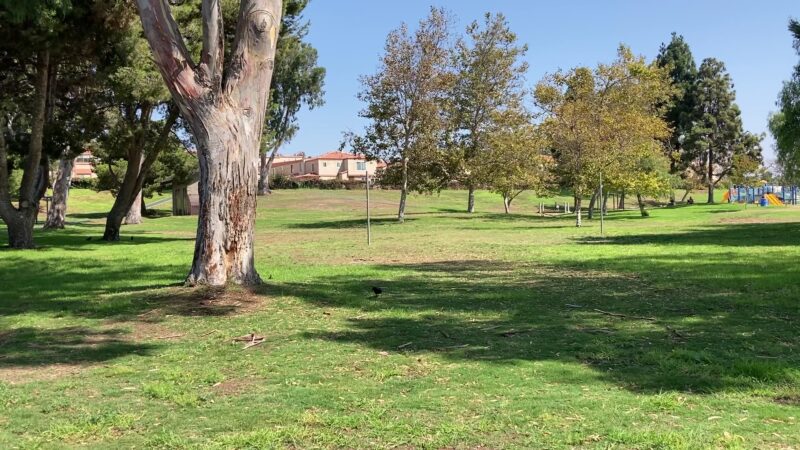 Delthorne Park - Torrance, CA