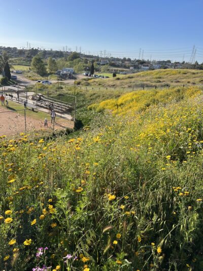 Entradero Park - Torrance, CA