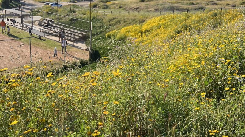 Entradero Park - Torrance, CA
