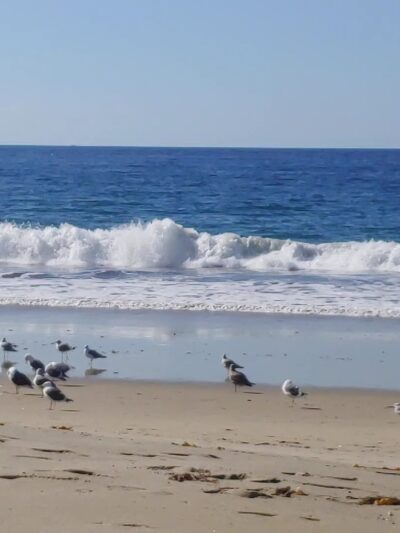 Torrance County Beach - Torrance, CA