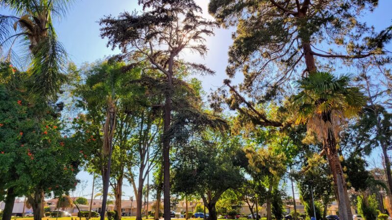 Torrance Park - Torrance, CA