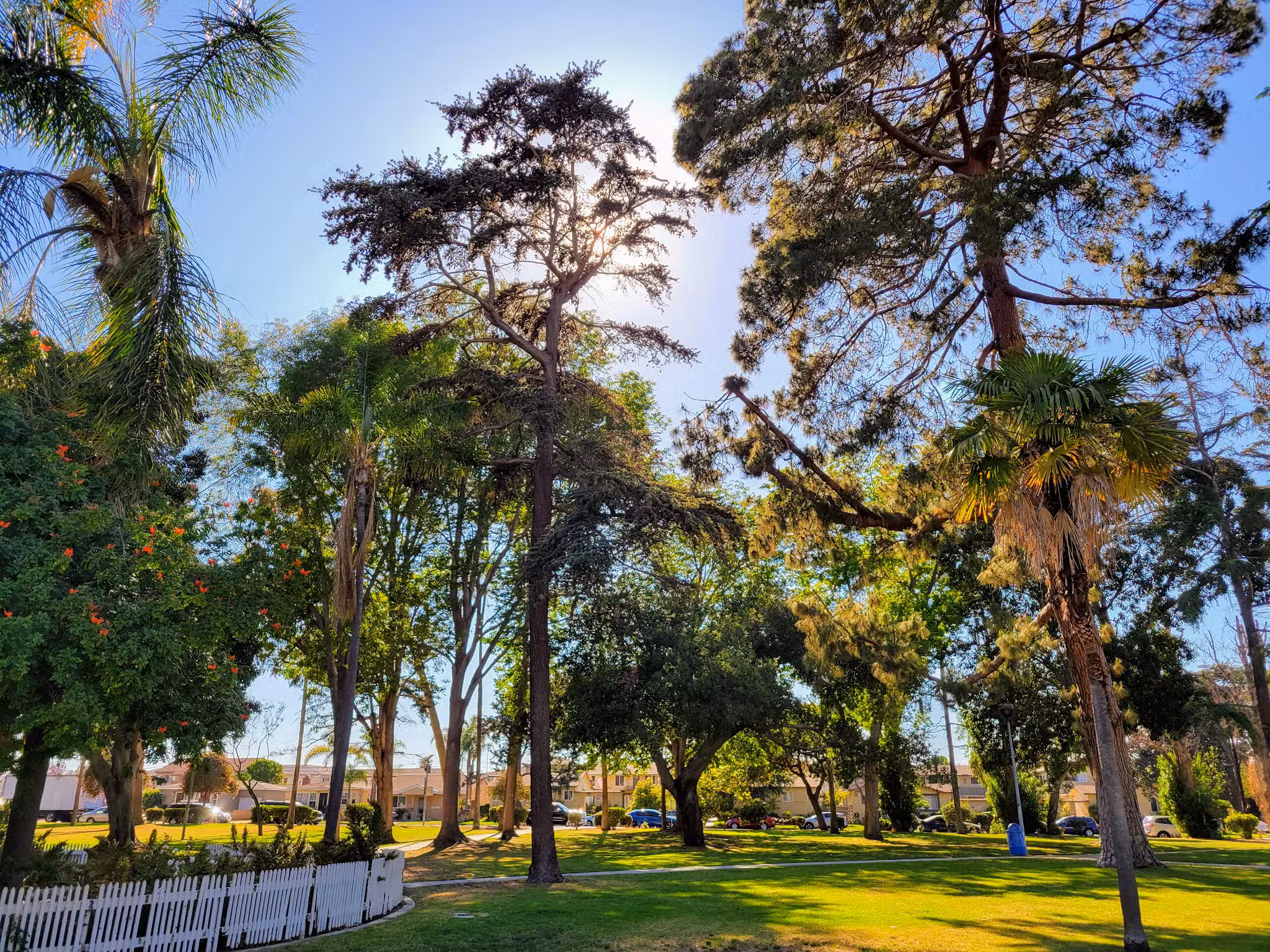 Torrance Park - Torrance, CA