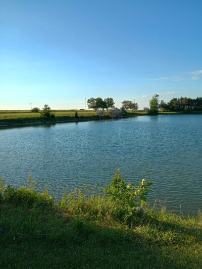 Boyd Wesley Park - Towanda, IL