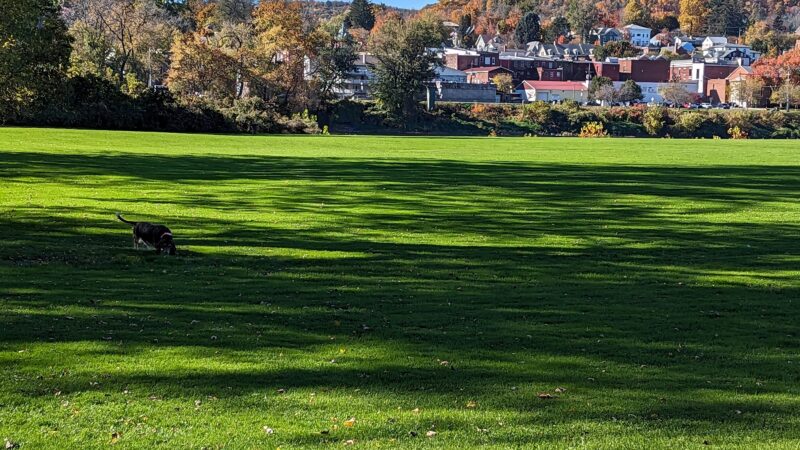 Eastside Riverfront Park - Towanda, PA
