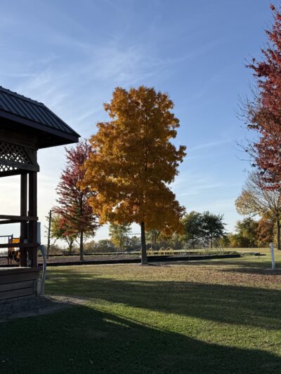 Village of Tower Hill Park - Tower Hill, IL