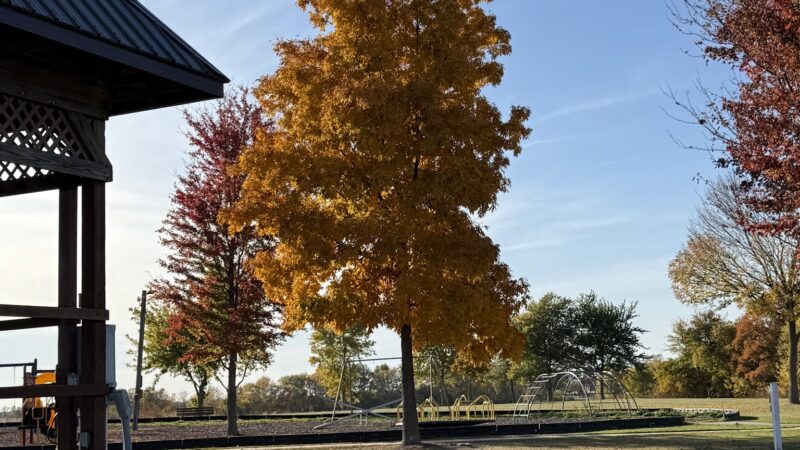 Village of Tower Hill Park - Tower Hill, IL
