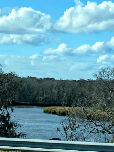 Altamaha Wildlife Management Area - Townsend, GA