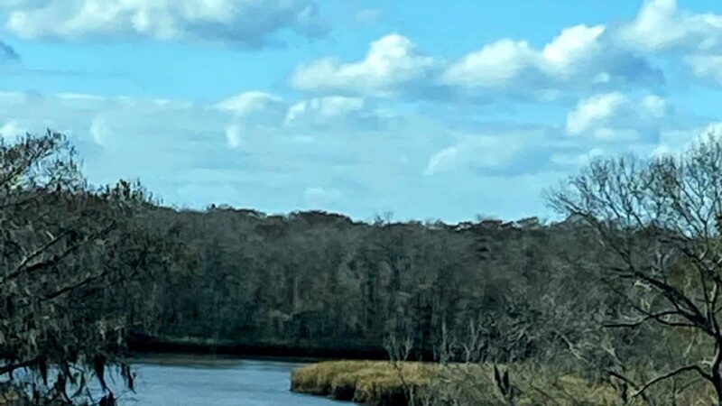 Altamaha Wildlife Management Area - Townsend, GA