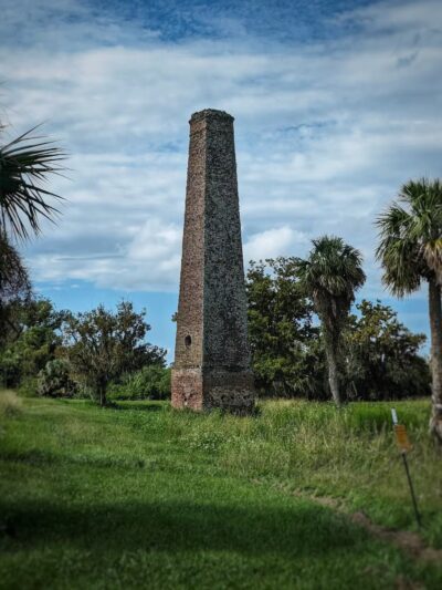 Altamaha Wildlife Management Area - Townsend, GA