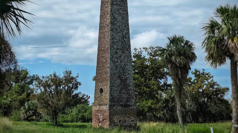 Altamaha Wildlife Management Area - Townsend, GA