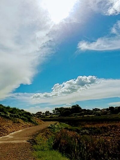 Tremonton Walking Trail - Tremonton, UT