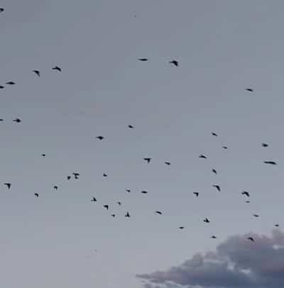 Tremonton Walking Trail - Tremonton, UT