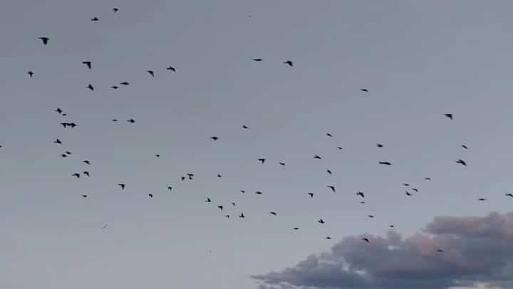 Tremonton Walking Trail - Tremonton, UT