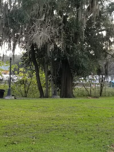 Trenton Park - Trenton, FL
