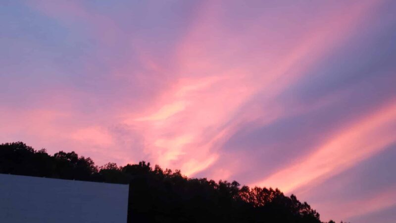 Wilderness Outdoor Movie Theater - Trenton, GA