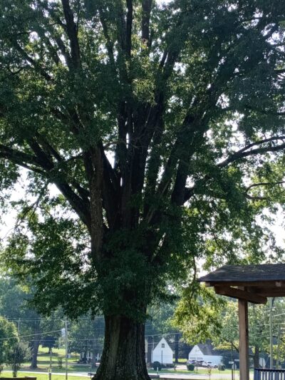 Trion Track Field - Trion, GA