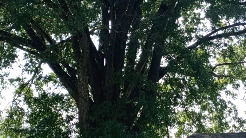 Trion Track Field - Trion, GA