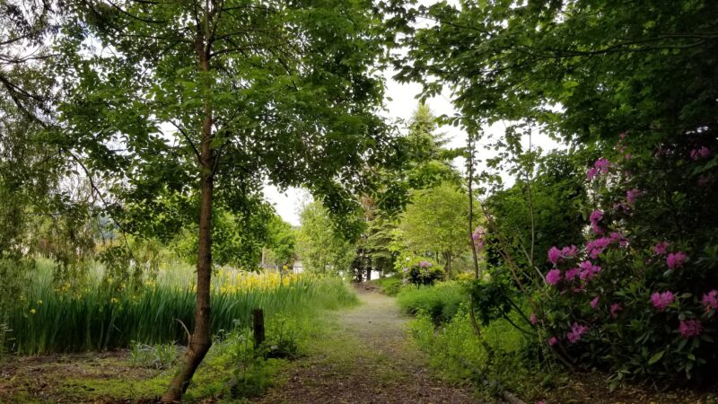 Stuart Ridge Greenway & Nature Pond - Troutdale, OR