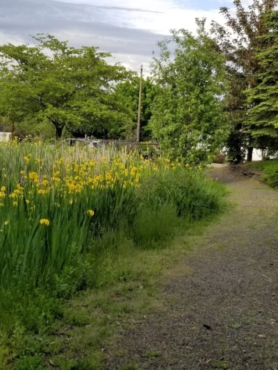 Stuart Ridge Greenway & Nature Pond - Troutdale, OR