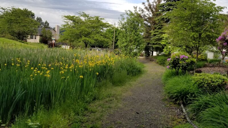 Stuart Ridge Greenway & Nature Pond - Troutdale, OR