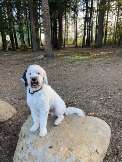 Troutdale Off Leash Dog Park - Troutdale, OR