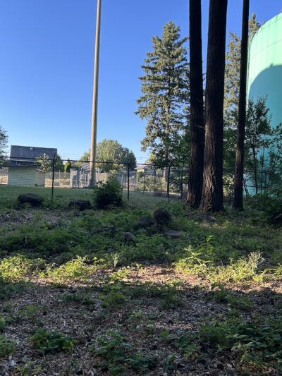 Troutdale Off Leash Dog Park - Troutdale, OR