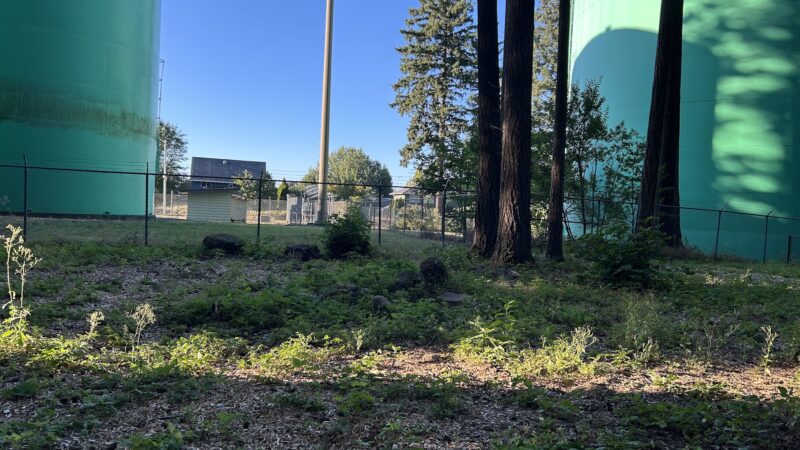 Troutdale Off Leash Dog Park - Troutdale, OR