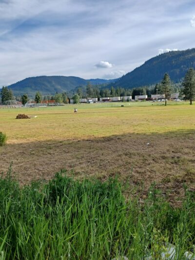 Roosevelt Park - Troy, MT