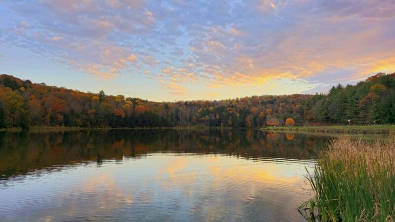 Mount Pisgah State Park - Troy, PA