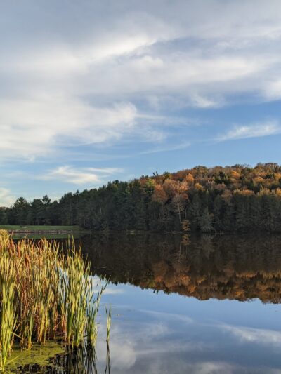 Mount Pisgah State Park - Troy, PA