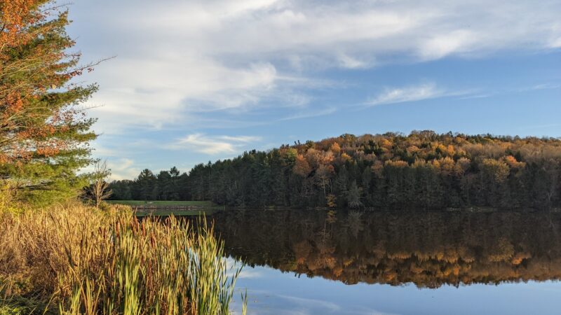 Mount Pisgah State Park - Troy, PA