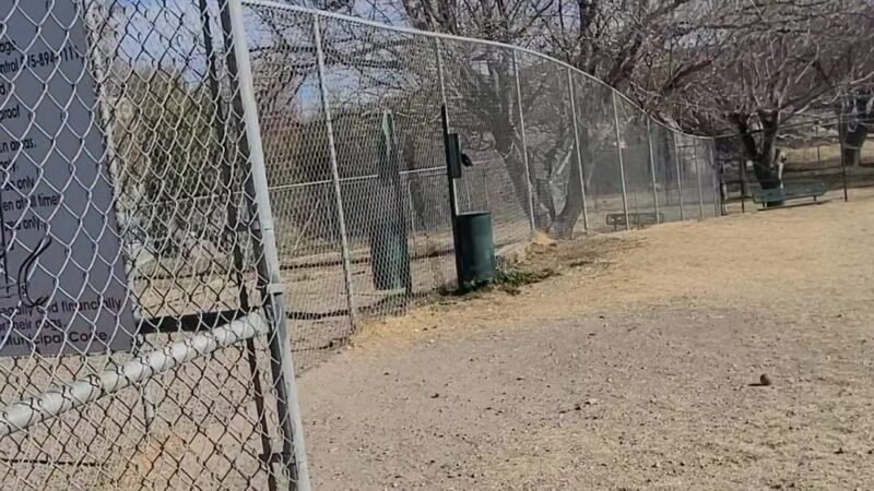 Carole Wheeler Dog Park - Truth or Consequences, NM