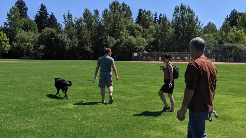Jurgens Dog Park - Tualatin, OR